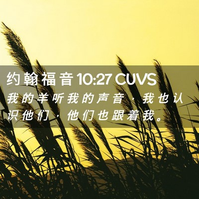 Picture 02 - 约 翰 福 音 10:27 CUVS - 我 的 羊 听 我 的 声 音 ， 我 也 认 - Bible Verse Picture