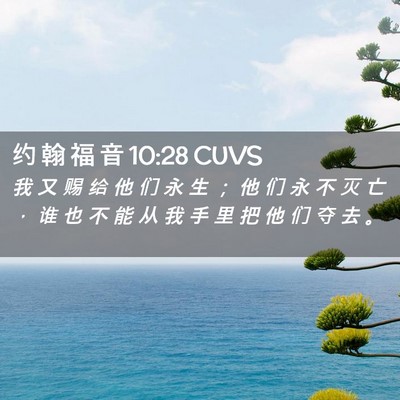 Picture 02 - 约 翰 福 音 10:28 CUVS - 我 又 赐 给 他 们 永 生 ； 他 们 永 - Bible Verse Picture