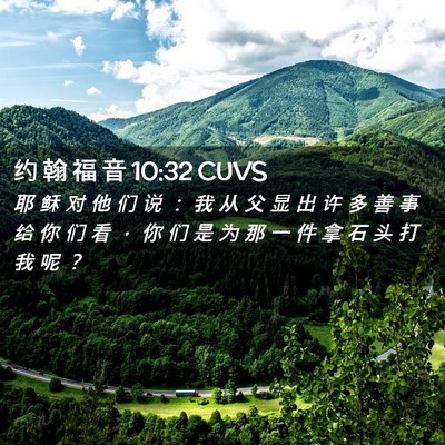 Picture 02 - 约 翰 福 音 10:32 CUVS - 耶 稣 对 他 们 说 ： 我 从 父 显 出 - Bible Verse Picture