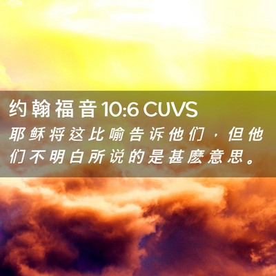 Picture 02 - 约 翰 福 音 10:6 CUVS - 耶 稣 将 这 比 喻 告 诉 他 们 ， 但 - Bible Verse Picture