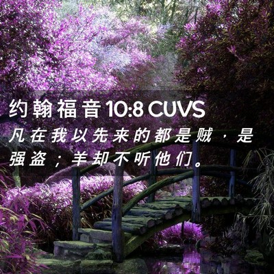 Picture 02 - 约 翰 福 音 10:8 CUVS - 凡 在 我 以 先 来 的 都 是 贼 ， 是 - Bible Verse Picture