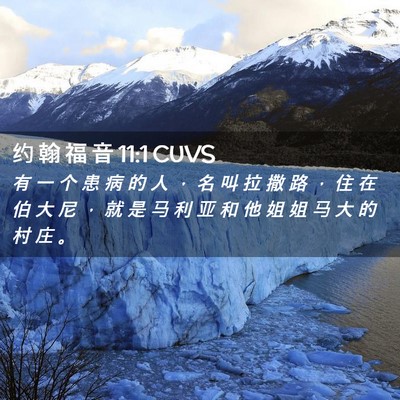 Picture 02 - 约 翰 福 音 11:1 CUVS - 有 一 个 患 病 的 人 ， 名 叫 拉 撒 - Bible Verse Picture