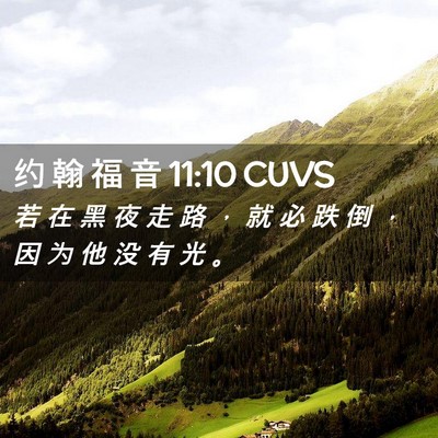 Picture 02 - 约 翰 福 音 11:10 CUVS - 若 在 黑 夜 走 路 ， 就 必 跌 倒 ， - Bible Verse Picture