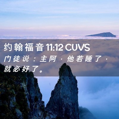 Picture 02 - 约 翰 福 音 11:12 CUVS - 门 徒 说 ： 主 阿 ， 他 若 睡 了 ， - Bible Verse Picture