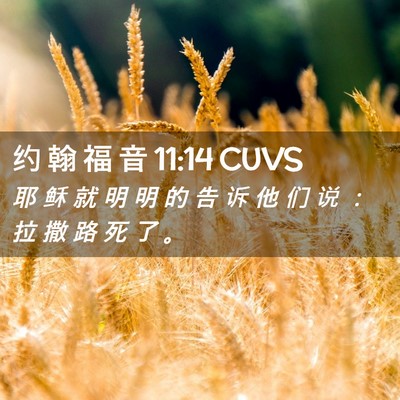 Picture 02 - 约 翰 福 音 11:14 CUVS - 耶 稣 就 明 明 的 告 诉 他 们 说 ： - Bible Verse Picture