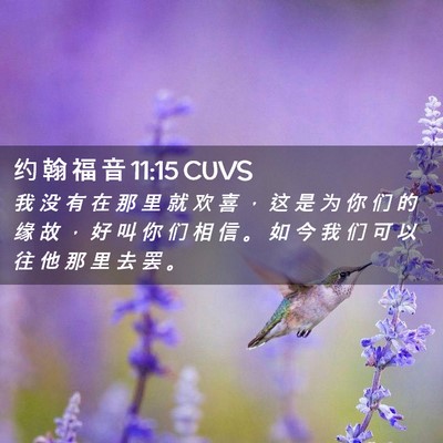 Picture 02 - 约 翰 福 音 11:15 CUVS - 我 没 有 在 那 里 就 欢 喜 ， 这 是 - Bible Verse Picture