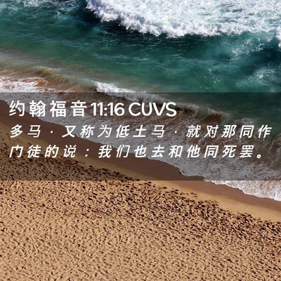 Picture 02 - 约 翰 福 音 11:16 CUVS - 多 马 ， 又 称 为 低 土 马 ， 就 对 - Bible Verse Picture