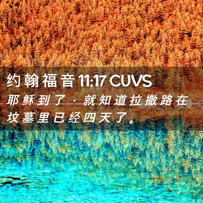 Picture 02 - 约 翰 福 音 11:17 CUVS - 耶 稣 到 了 ， 就 知 道 拉 撒 路 在 - Bible Verse Picture