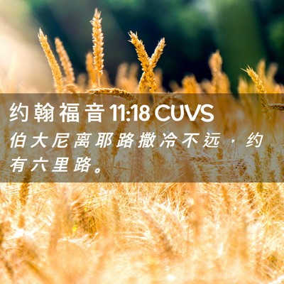 Picture 02 - 约 翰 福 音 11:18 CUVS - 伯 大 尼 离 耶 路 撒 冷 不 远 ， 约 - Bible Verse Picture