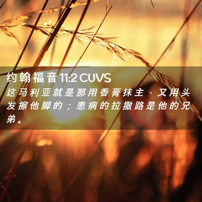 Picture 02 - 约 翰 福 音 11:2 CUVS - 这 马 利 亚 就 是 那 用 香 膏 抹 主 - Bible Verse Picture