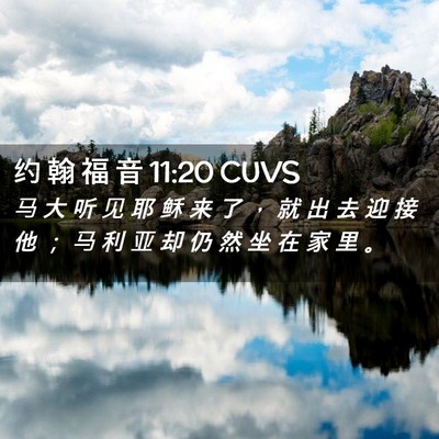 Picture 02 - 约 翰 福 音 11:20 CUVS - 马 大 听 见 耶 稣 来 了 ， 就 出 去 - Bible Verse Picture