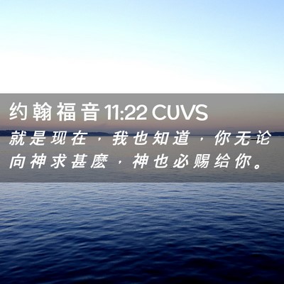 Picture 02 - 约 翰 福 音 11:22 CUVS - 就 是 现 在 ， 我 也 知 道 ， 你 无 - Bible Verse Picture