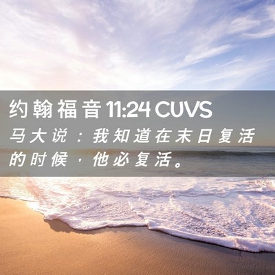 Picture 02 - 约 翰 福 音 11:24 CUVS - 马 大 说 ： 我 知 道 在 末 日 复 活 - Bible Verse Picture