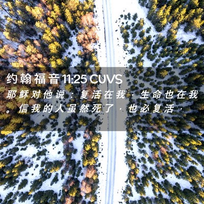 Picture 02 - 约 翰 福 音 11:25 CUVS - 耶 稣 对 他 说 ： 复 活 在 我 ， 生 - Bible Verse Picture