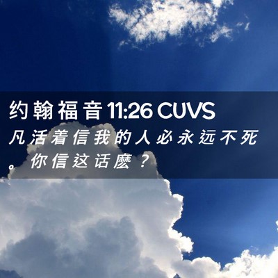 Picture 02 - 约 翰 福 音 11:26 CUVS - 凡 活 着 信 我 的 人 必 永 远 不 死 - Bible Verse Picture