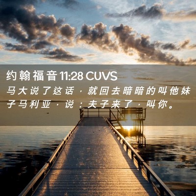 Picture 02 - 约 翰 福 音 11:28 CUVS - 马 大 说 了 这 话 ， 就 回 去 暗 暗 - Bible Verse Picture
