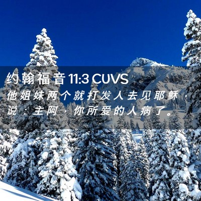 Picture 02 - 约 翰 福 音 11:3 CUVS - 他 姐 妹 两 个 就 打 发 人 去 见 耶 - Bible Verse Picture