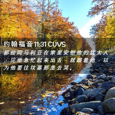 Picture 02 - 约 翰 福 音 11:31 CUVS - 那 些 同 马 利 亚 在 家 里 安 慰 他 - Bible Verse Picture