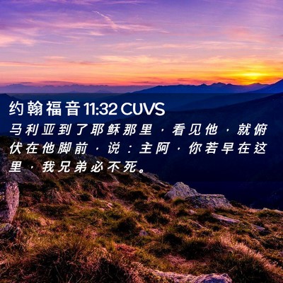 Picture 02 - 约 翰 福 音 11:32 CUVS - 马 利 亚 到 了 耶 稣 那 里 ， 看 见 - Bible Verse Picture