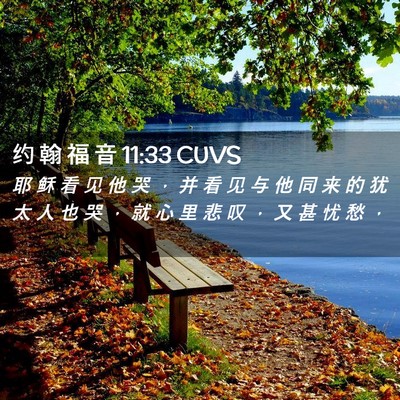 Picture 02 - 约 翰 福 音 11:33 CUVS - 耶 稣 看 见 他 哭 ， 并 看 见 与 他 - Bible Verse Picture