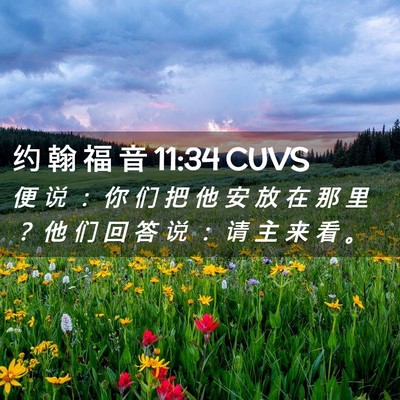 Picture 02 - 约 翰 福 音 11:34 CUVS - 便 说 ： 你 们 把 他 安 放 在 那 里 - Bible Verse Picture