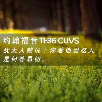 Picture 02 - 约 翰 福 音 11:36 CUVS - 犹 太 人 就 说 ： 你 看 他 爱 这 人 - Bible Verse Picture