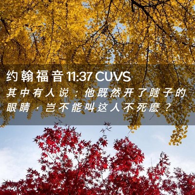 Picture 02 - 约 翰 福 音 11:37 CUVS - 其 中 有 人 说 ： 他 既 然 开 了 瞎 - Bible Verse Picture