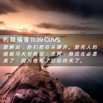 Picture 02 - 约 翰 福 音 11:39 CUVS - 耶 稣 说 ： 你 们 把 石 头 挪 开 。 - Bible Verse Picture