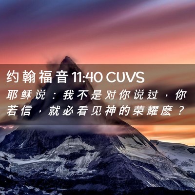 Picture 02 - 约 翰 福 音 11:40 CUVS - 耶 稣 说 ： 我 不 是 对 你 说 过 ， - Bible Verse Picture