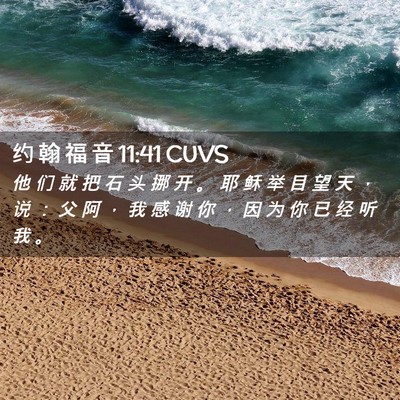 Picture 02 - 约 翰 福 音 11:41 CUVS - 他 们 就 把 石 头 挪 开 。 耶 稣 举 - Bible Verse Picture