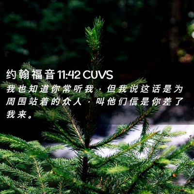 Picture 02 - 约 翰 福 音 11:42 CUVS - 我 也 知 道 你 常 听 我 ， 但 我 说 - Bible Verse Picture