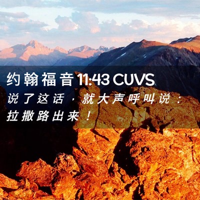 Picture 02 - 约 翰 福 音 11:43 CUVS - 说 了 这 话 ， 就 大 声 呼 叫 说 ： - Bible Verse Picture