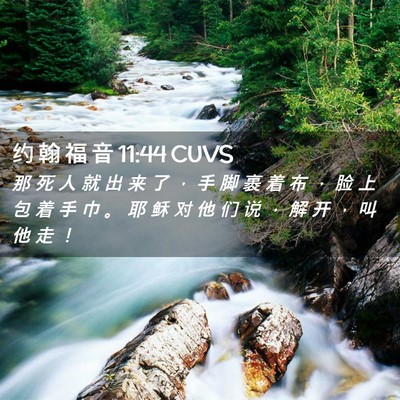 Picture 02 - 约 翰 福 音 11:44 CUVS - 那 死 人 就 出 来 了 ， 手 脚 裹 着 - Bible Verse Picture