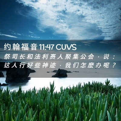 Picture 02 - 约 翰 福 音 11:47 CUVS - 祭 司 长 和 法 利 赛 人 聚 集 公 会 - Bible Verse Picture