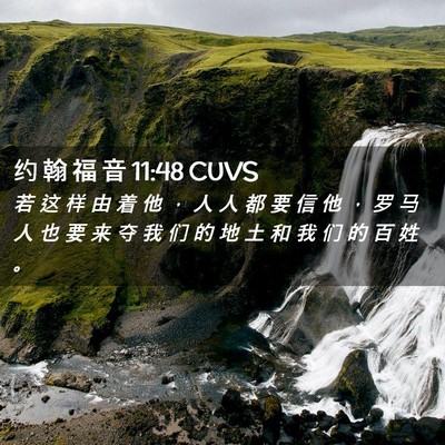 Picture 02 - 约 翰 福 音 11:48 CUVS - 若 这 样 由 着 他 ， 人 人 都 要 信 - Bible Verse Picture