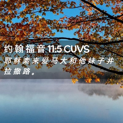 Picture 02 - 约 翰 福 音 11:5 CUVS - 耶 稣 素 来 爱 马 大 和 他 妹 子 并 - Bible Verse Picture