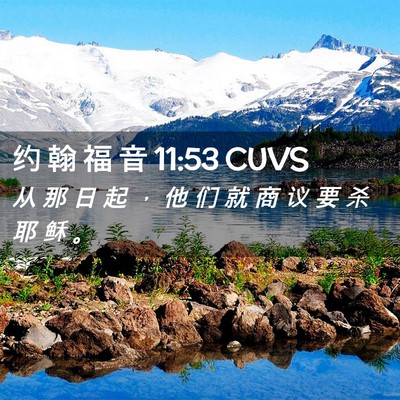 Picture 02 - 约 翰 福 音 11:53 CUVS - 从 那 日 起 ， 他 们 就 商 议 要 杀 - Bible Verse Picture