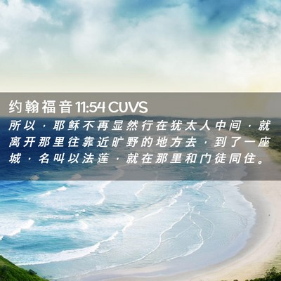 Picture 02 - 约 翰 福 音 11:54 CUVS - 所 以 ， 耶 稣 不 再 显 然 行 在 犹 - Bible Verse Picture