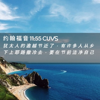 Picture 02 - 约 翰 福 音 11:55 CUVS - 犹 太 人 的 逾 越 节 近 了 ， 有 许 - Bible Verse Picture