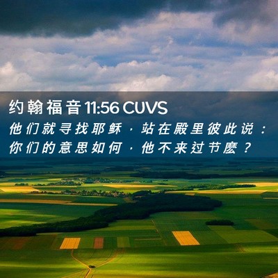 Picture 02 - 约 翰 福 音 11:56 CUVS - 他 们 就 寻 找 耶 稣 ， 站 在 殿 里 - Bible Verse Picture