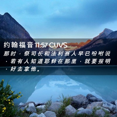 Picture 02 - 约 翰 福 音 11:57 CUVS - 那 时 ， 祭 司 长 和 法 利 赛 人 早 - Bible Verse Picture