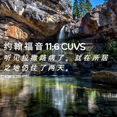 Picture 02 - 约 翰 福 音 11:6 CUVS - 听 见 拉 撒 路 病 了 。 就 在 所 居 - Bible Verse Picture