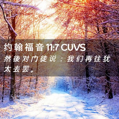 Picture 02 - 约 翰 福 音 11:7 CUVS - 然 後 对 门 徒 说 ： 我 们 再 往 犹 - Bible Verse Picture