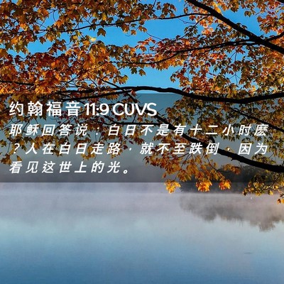 Picture 02 - 约 翰 福 音 11:9 CUVS - 耶 稣 回 答 说 ： 白 日 不 是 有 十 - Bible Verse Picture
