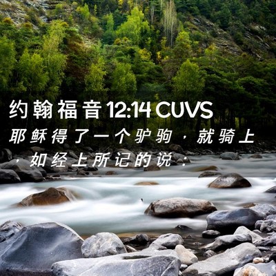 Picture 02 - 约 翰 福 音 12:14 CUVS - 耶 稣 得 了 一 个 驴 驹 ， 就 骑 上 - Bible Verse Picture