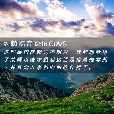 Picture 02 - 约 翰 福 音 12:16 CUVS - 这 些 事 门 徒 起 先 不 明 白 ， 等 - Bible Verse Picture