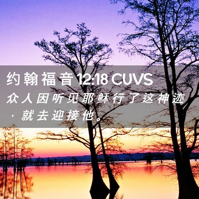 Picture 02 - 约 翰 福 音 12:18 CUVS - 众 人 因 听 见 耶 稣 行 了 这 神 迹 - Bible Verse Picture