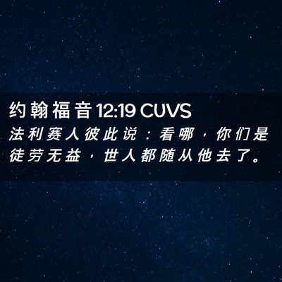 Picture 02 - 约 翰 福 音 12:19 CUVS - 法 利 赛 人 彼 此 说 ： 看 哪 ， 你 - Bible Verse Picture