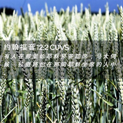 Picture 02 - 约 翰 福 音 12:2 CUVS - 有 人 在 那 里 给 耶 稣 预 备 筵 席 - Bible Verse Picture