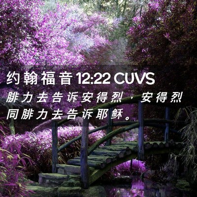 Picture 02 - 约 翰 福 音 12:22 CUVS - 腓 力 去 告 诉 安 得 烈 ， 安 得 烈 - Bible Verse Picture